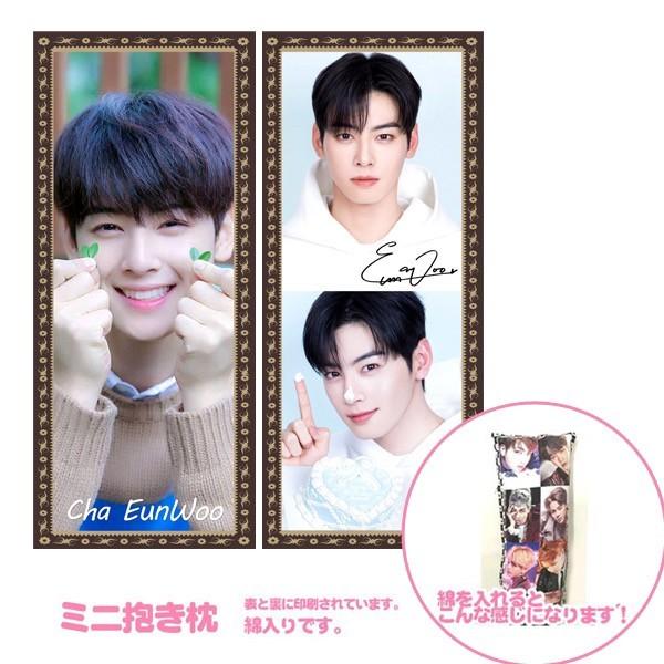 60✕40チャウヌ枕カバー22番ASTRO