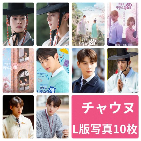 チャウヌ ASTRO アストロ フォトセット L版 写真 10枚セット 韓流