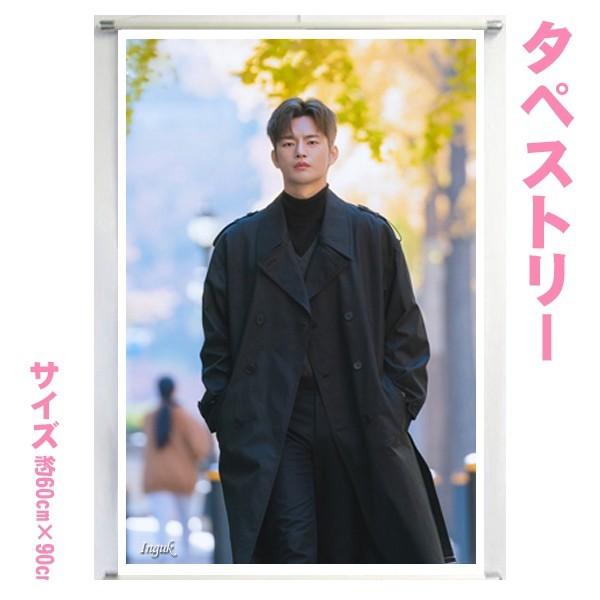 ソイングク SEO INGUK ソ・イングク 大型 タペストリー 60×90 韓流