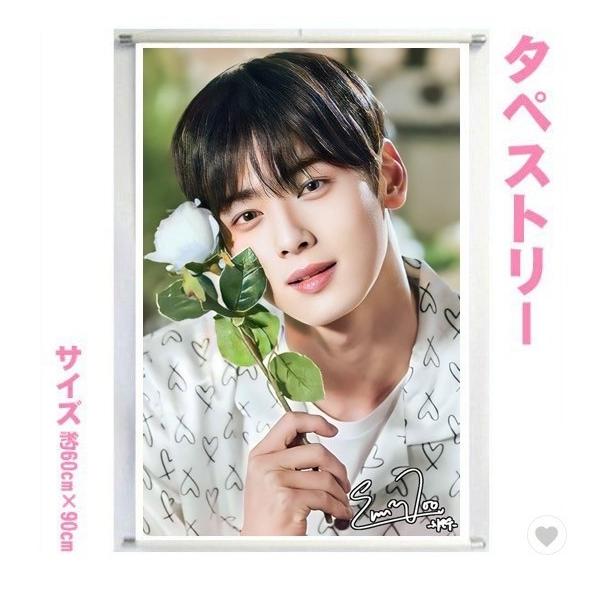 チャウヌタペストリー1〜 ASTRO チャウヌ ASTRO アストロ 大型 タペストリー 60×90 韓流 グッズ