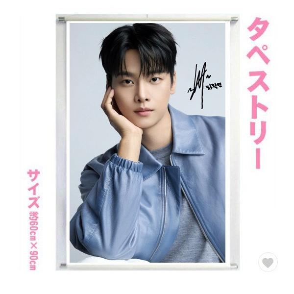 チャハギョン VIXX エン 大型 タペストリー 60×90 韓流 グッズ bb213