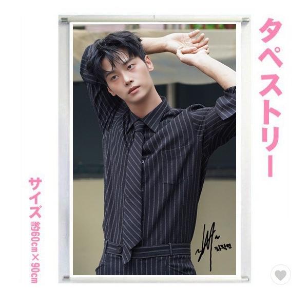 チャハギョン VIXX エン 大型 タペストリー 60×90 韓流 グッズ bb213