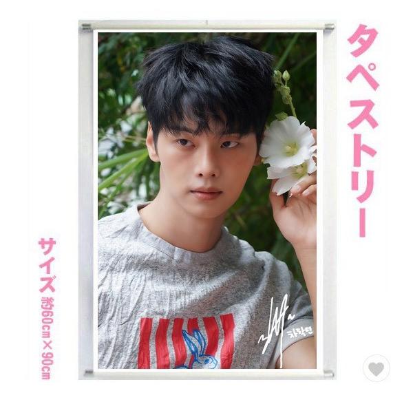 チャハギョン VIXX エン 大型 タペストリー 60×90 韓流 グッズ bb213