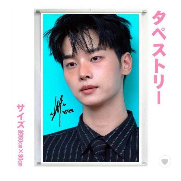 チャハギョン VIXX エン 大型 タペストリー 60×90 韓流 グッズ bb213-2