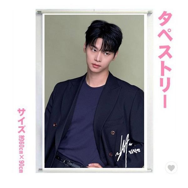 チャハギョン VIXX エン 大型 タペストリー 60×90 韓流 グッズ bb213-8