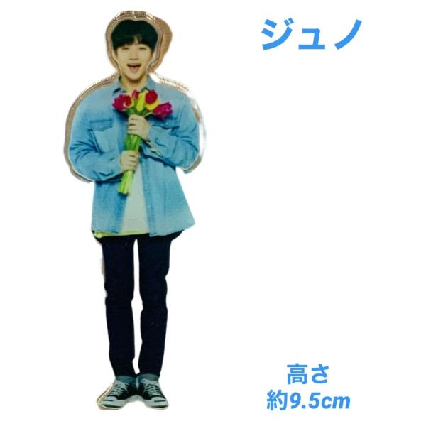 2PM ジュノ 3形態、2形態おまけ付きセット 2PM ジュノ アクリルスタンド フィギュア 韓流 グッズ fj026-3