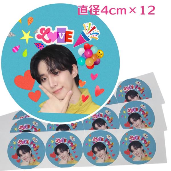 ばら売り可2PMジュノステッカー ジュノ 2PM 丸シール 直径4cm×12枚 切れ目付き ステッカー シール 韓流