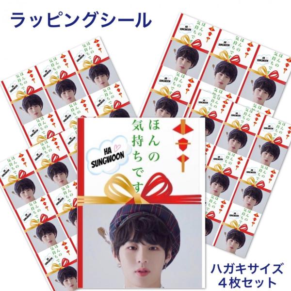 4枚セット ハソンウン WANNAONE ワナワン ラッピング シール