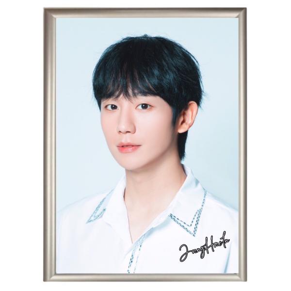 チョンヘイン フォトプレート 額入り 写真 A4サイズ 韓流 グッズ hp025