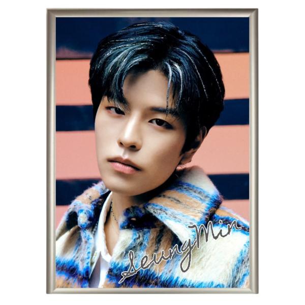 Stray Kids - 【未開封】Straykids スキズ スンミン PCケース 15インチ スンミン StrayKids ストレイキッズ スキズ フォトプレート 額