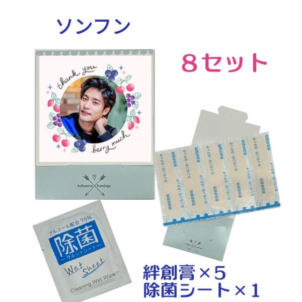 ソンフン お手軽 ソンムル 8点セット 絆創膏 除菌シート 韓流