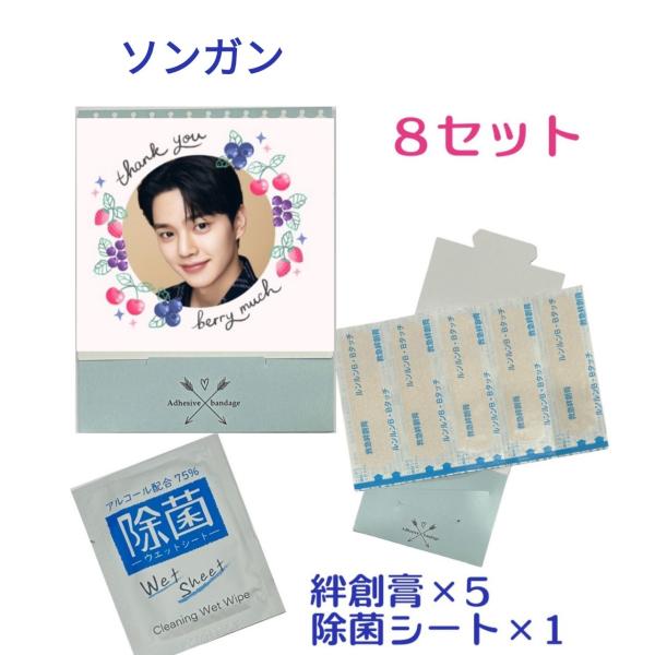 ソンガングッズセット angieseoul_pu045-1