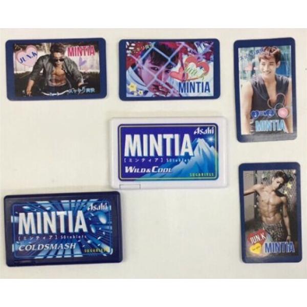 Mintia 用 シール Www Vetrepro Fr