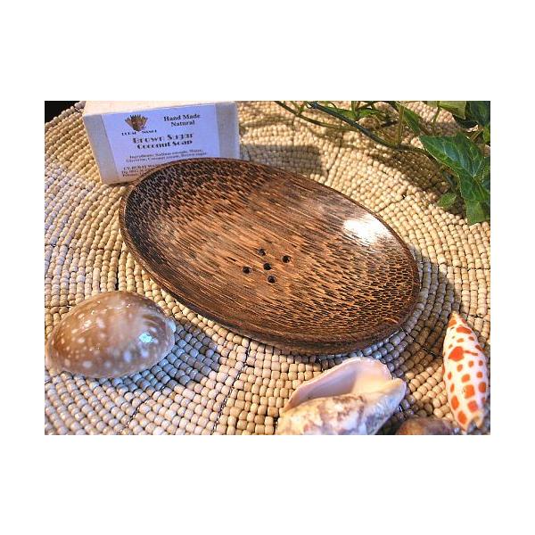 RRibc̃\[vfBbVȉ~` 14 AWAG݁@oG