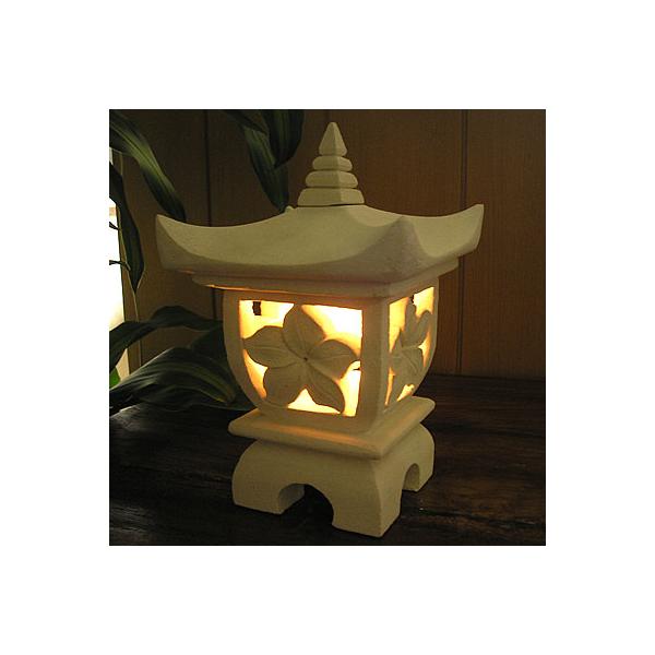 AWAG݁@oG݁@̃Lhz_[@U@vA@H.24cm