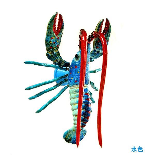 [Jt GrN }Olbg F GXjbN ς 킢  u }Olbg AWAG ^CG