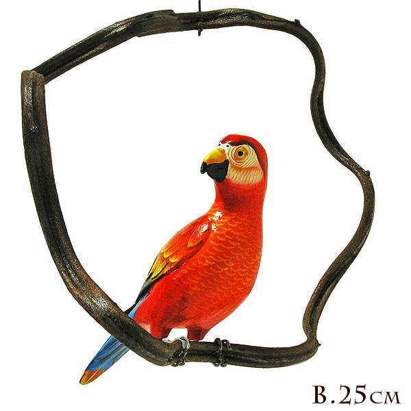 南国のカラフルバード吊り下げ 木の蔓の枠 D［鳥体長約23~25cm 