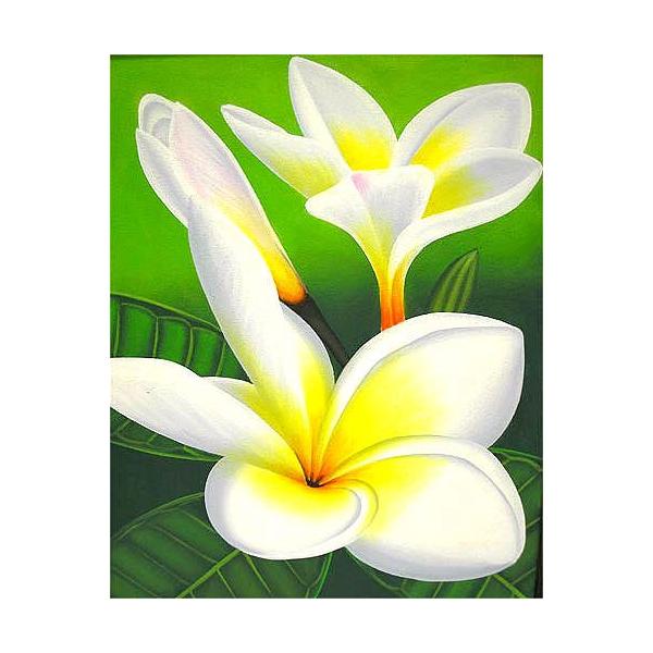 oA[gG@L@c@wzCgEvAx  AWACeA Ԃ̊G AWAG oG