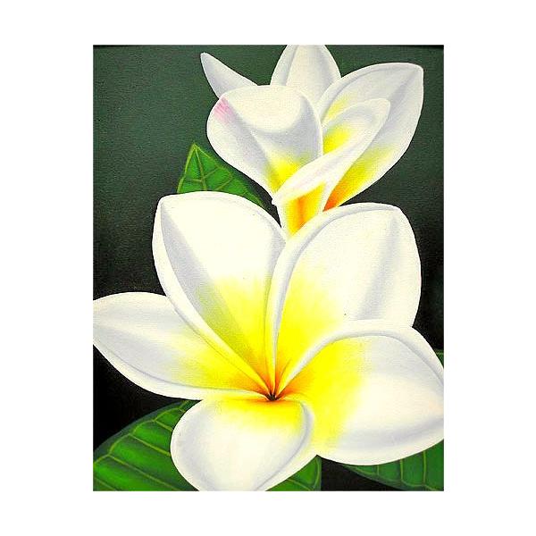 oA[gG@L@c@wzCgEvAx  AWACeA Ԃ̊G AWAG oG