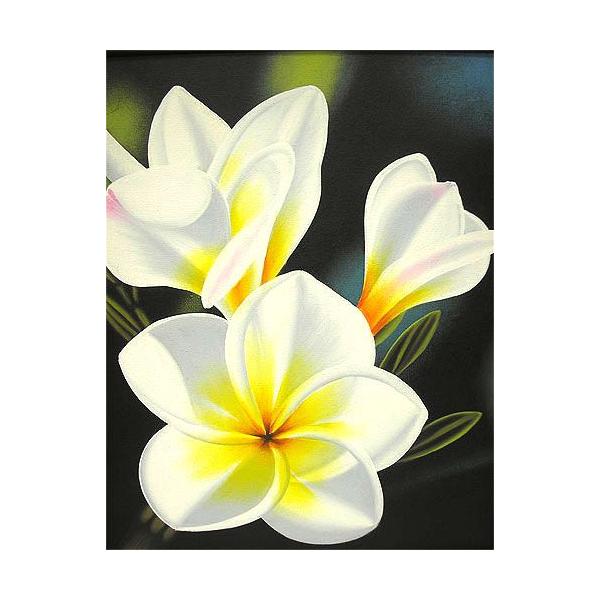 oA[gG@L@c@wzCgEvAx  AWACeA Ԃ̊G AWAG oG