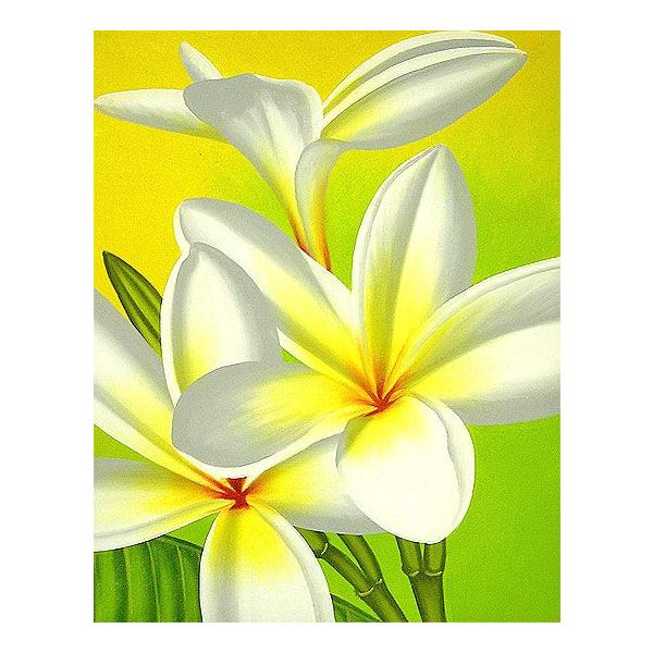 oA[gG@L@c@wzCgEvAx  AWACeA Ԃ̊G AWAG oG