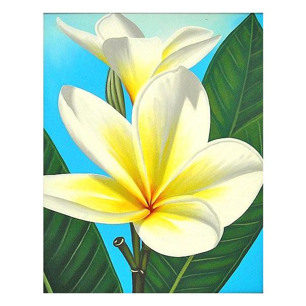 oA[gG@L@c@wzCgEvAx  AWACeA Ԃ̊G AWAG oG