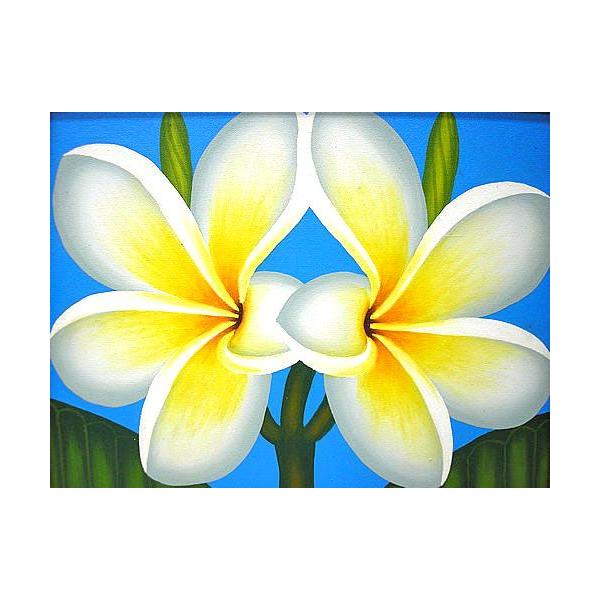 アジアン雑貨 バリ雑貨 バリアート絵画 L 横 プルメリア２輪 白