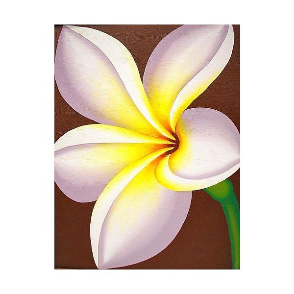 oA[gG@L@c@wvAPցx@E  AWACeA Ԃ̊G AWAG oG