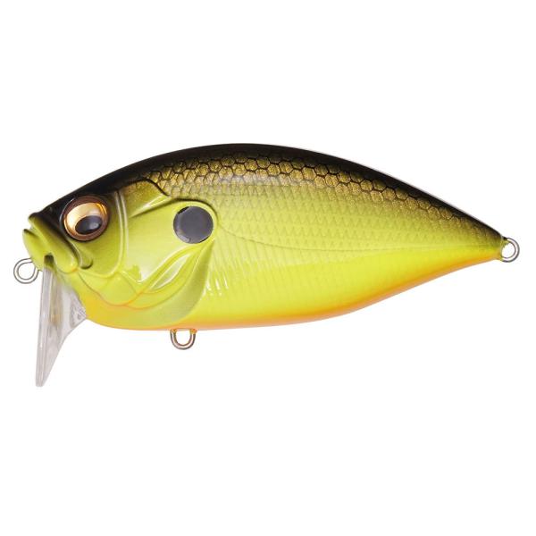 ���K�o�X O.R.C BURNING SHAD(O.R.C�o�[�j���O�V���b�h) B.B.C(�u���b�N�o�b�N�`���[�g) [���[����]