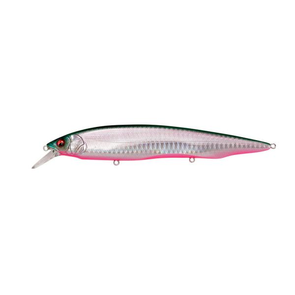 KoX KANATA SW GG xCTChO[PB [[]