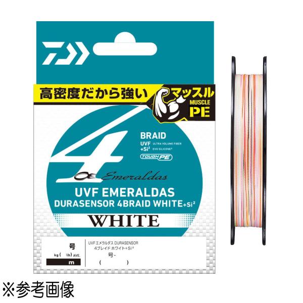 ダイワ light sw 美品2号peライン ダイワ light sw 美品2号peライン