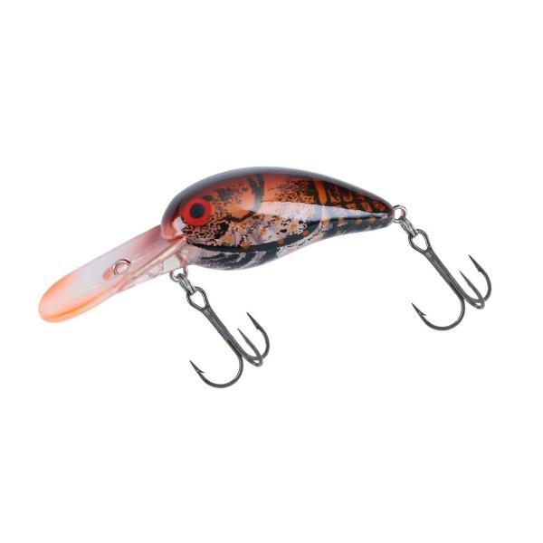 _C ^Cj[Chs[ibc t@guEN[ [[]