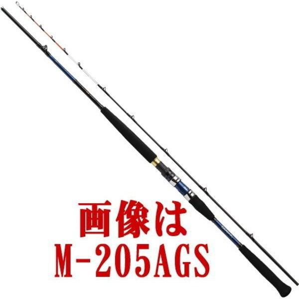 DAIWA（ダイワ） ロッド '17極鋭 中深場 H-205AGS [5] : 釣具の