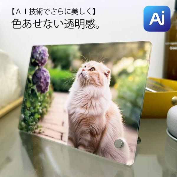 【NEW】最新AI技術でさらに美しく。色あせない透明感のアクリルフォトが、あなたの特別な瞬間を永遠に輝かせます。・ご注文頂いてからすぐに製作する商品です。仕上がり確認の連絡などは致しません。・ご注文頂いたデザインをそのままで製作致します。誤...