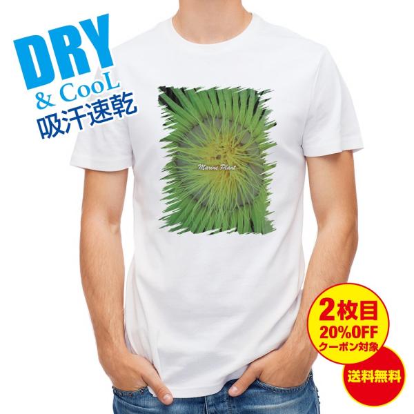 TVc TS #2 ނ  A[  Y eB[Vc S  t  H Ci[   ʔ 傫TCY  |GXe