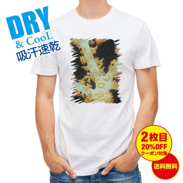 TVc TS #7  Y S  t  H Ci[   ʔ 傫TCY 