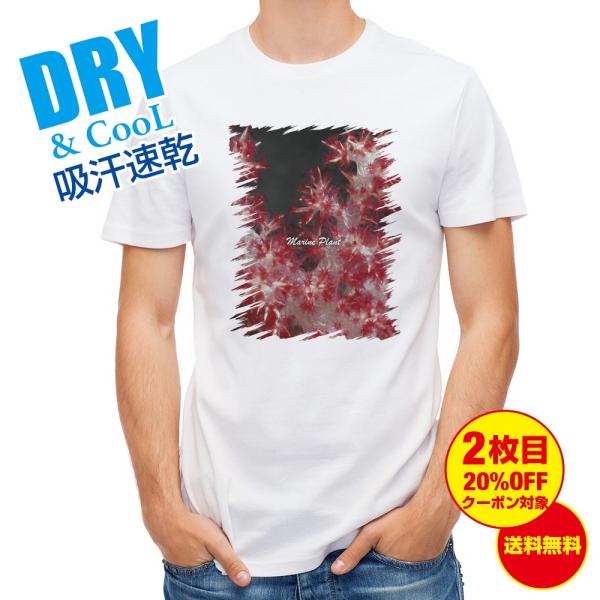 TVc TS #8  Y S  t  H Ci[   ʔ 傫TCY 