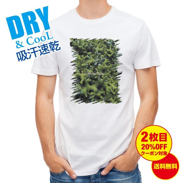 TVc TS #9 ނ  A[  Y S  t  H Ci[   ʔ 傫TCY 