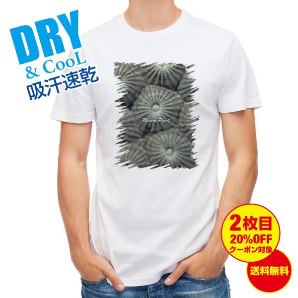 TVc TS #11 ނ  A[  Y S  t  H Ci[   ʔ 傫TCY 