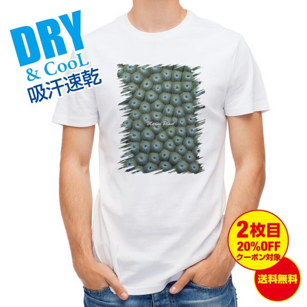 TVc TS #12  Y S  t  H Ci[   ʔ 傫TCY 