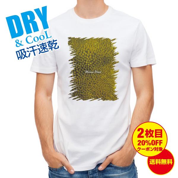 TVc TS #14 ނ  A[  Y S  t  H Ci[   ʔ 傫TCY 