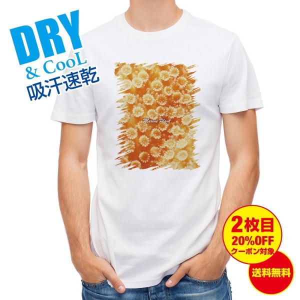 TVc TS #16 ނ  A[  Y S  t  H Ci[   ʔ 傫TCY 