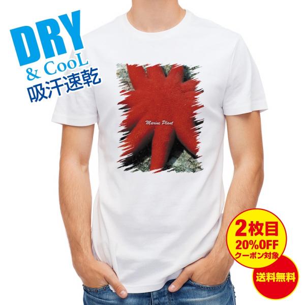 TVc TS #18  Y S  t  H Ci[   ʔ 傫TCY 