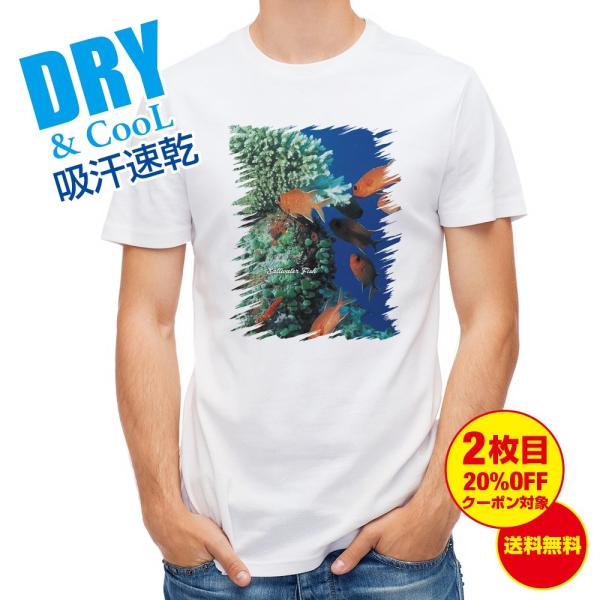 TVc Mы No.1 }cJT ނ  A[  Y S  t  H Ci[   ʔ 傫TCY 