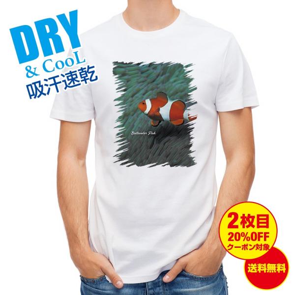 TVc Mы No.2 JNN}m~ ނ  A[  Y S  t  H Ci[   ʔ 傫TCY 