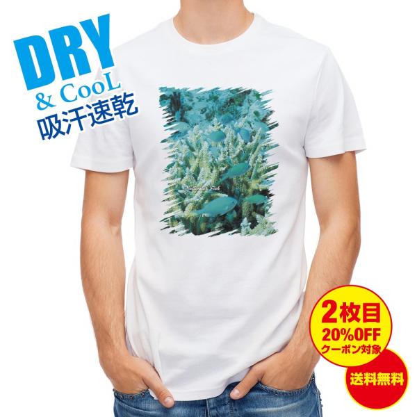 TVc Mы No.6 foXY ނ  A[  Y S  t  H Ci[   ʔ 傫TCY 