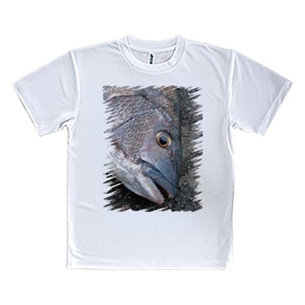 TVc N`k ނ  A[  Y S  t  H Ci[   ʔ 傫TCY 