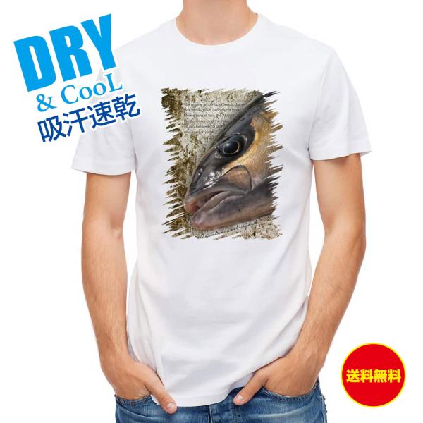 グレ 釣り ルアー フィッシングウェアの人気商品 通販 価格比較 価格 Com