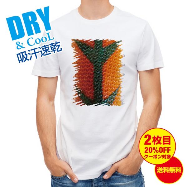 TVc GM ^CK[IW ނ  A[  Y S  t  H Ci[   ʔ 傫TCY 