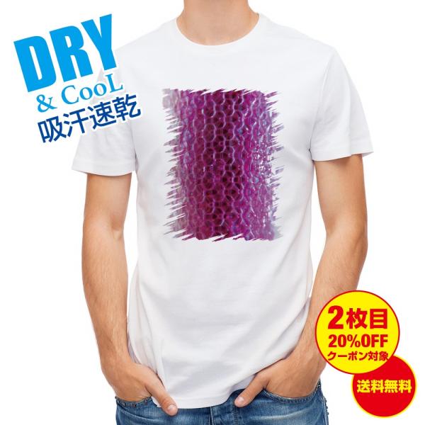 TVc GM sN ނ  A[  Y S  t  H Ci[   ʔ 傫TCY 